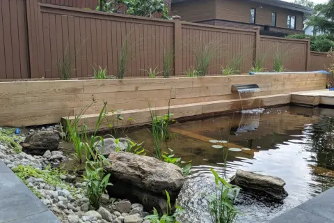 Un bassin à poissons aménagé dans un ancien espace de piscine, avec une cascade en acier inoxydable et des plantes aquatiques.