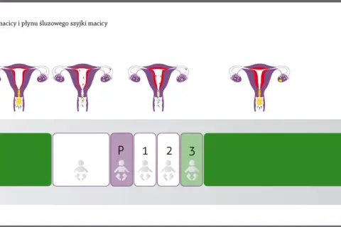 Objawy powrotu płodności po porodzie - co warto wiedzieć o cyklu menstruacyjnym