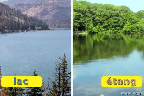 Comparaison visuelle : un grand lac bordé de montagnes et d'arbres, face à un étang plus petit entouré de verdure.