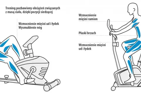 Rower stacjonarny – jakie mięśnie pracują i jak je wzmocnić?