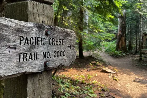 Gammal träskylt visar "PACIFIC CREST TRAIL NO. 2000" med en pil. Skogsväg leder in i en grönskande skog.