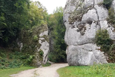Kamieniste ścieżki wiodą przez skalne wąwozy na pogórzu, otoczone bujną zielenią i omszałymi skałami.