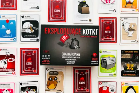 Jak grać w Kotki - proste zasady i strategie, które musisz znać