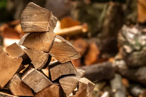 Pile of chopped firewood with visible wood grain and bark.