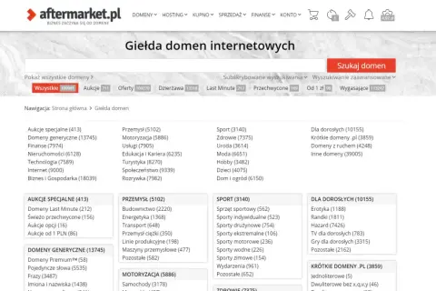 Wycena domeny internetowej: Jak poznać jej wartość i zarobić?