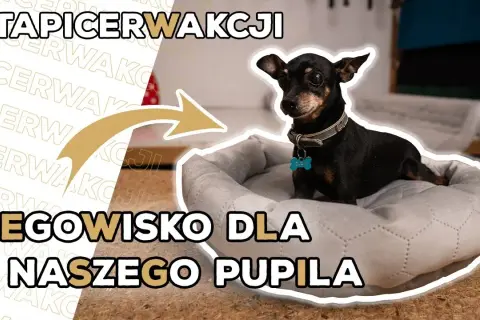 Legowisko dla psa z poduszki: Prosty DIY zrób to sam!