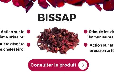 BISSAP, un ingrédient naturel aux multiples bienfaits : action sur le système urinaire, le diabète, le cholestérol, les défenses immunitaires et la pression artérielle.
