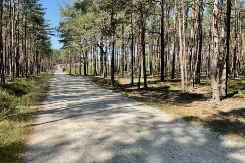 Najlepsze atrakcje w Sierakowie, które musisz zobaczyć latem