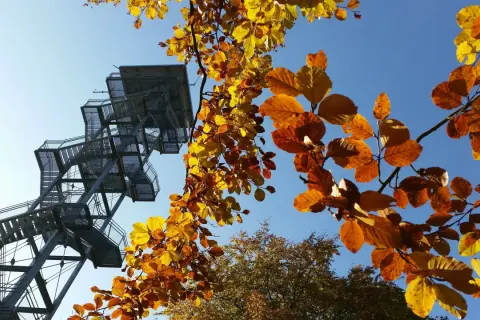 Aussichtsturm Rauen: Alle Infos für Ihren Ausflug | Wandern & Aussicht