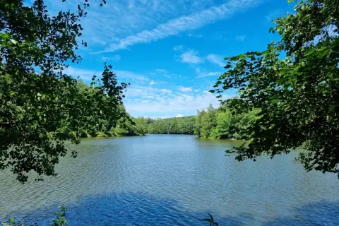Ein ruhiger fluss im Bergischen Land, umrahmt von üppigem Grün unter einem strahlend blauen Himmel mit weißen Wolken.