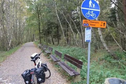 Ścieżka rowerowa Velo Baltica w jesiennym lesie. Rower z sakwami czeka obok ławek.
