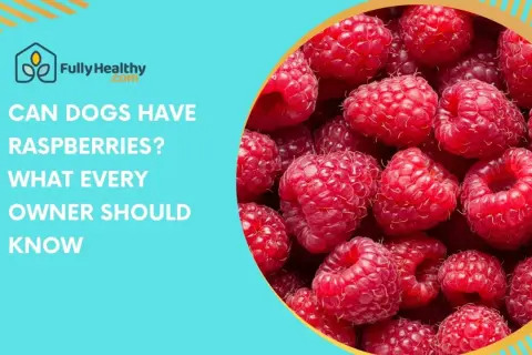 Close-up of ripe raspberries with text asking "Can dogs have raspberries? What every owner should know.
