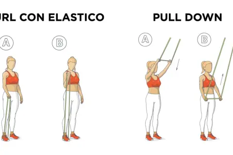 Esercizi con elastici: curl per bicipiti e pull down per la schiena, illustrati con posizioni A e B.