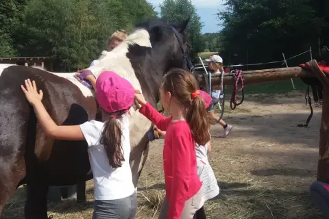 Dzieci pomagają przy koniu w stajni Wiczlino Niemotowo. Cieszą się wspólnym czyszczeniem zwierzęcia.