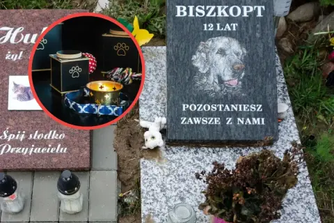 Nagrobek psa z imieniem "Biszkopt", urną, świecą i zabawkami.