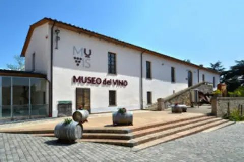Museo del Vino a Castiglione in Teverina: cosa vedere per un'esperienza enogastronomica indimenticabile.