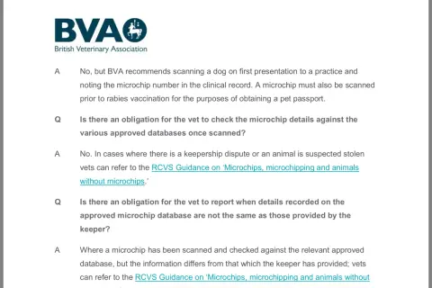 British Veterinary Association guidance on scanning dogs and the need to update dog microchip details for rabies vaccinations and pet passports.