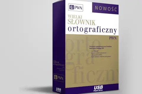 Wielki słownik języka polskiego PAN: poznaj jego unikalne cechy i dostępność