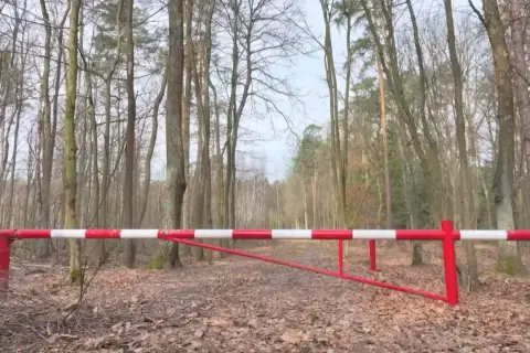 Przed nami szlaban z napisem "zakaz wjazdu do lasu". Droga leśna jest pusta, otoczona drzewami.