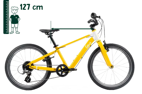20 Zoll Fahrrad: Welches ist das Beste für mein Kind? Expertentipps