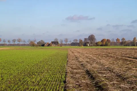 Campi verdi e arati, case rurali in lontananza. L'avvicendamento significato della natura, tra raccolto e riposo della terra.