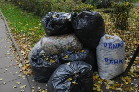 Kiedy wywóz śmieci w Krakowie? Sprawdź terminy i zasady odbioru