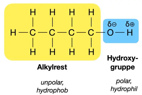 Strukturformel eines Alkohols: Ein unpolarer Alkylrest (gelb) ist mit einer polaren Hydroxygruppe (blau) verbunden. Diese funktionellen Gruppen bestimmen die Eigenschaften.
