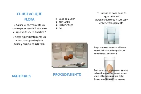 Un huevo flota en agua salada en un experimento.