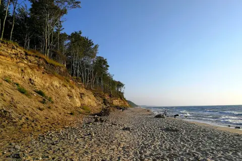 Plaża z klifem porośniętym drzewami, fale rozbijające się o brzeg. Dębina atrakcje przyrodnicze zachwycają.