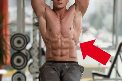 Ein Mann mit stark ausgeprägten Bauchmuskeln, der rote Pfeil zeigt auf den serratus anterior.
