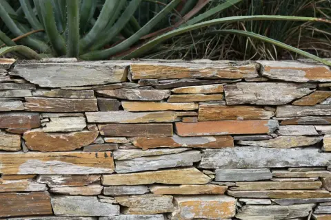 A rustic stone wall, showcasing how to build a retaining wall with layered, irregular stones. Aloe plants grow behind it.