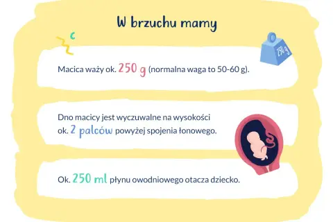 16 tydzień ciąży to już 4 miesiąc. Macica waży ok. 250 g, a dziecko otacza 250 ml płynu.