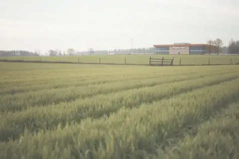 Ile płaci biedronka za wynajem gruntu? Ceny, które zaskakują właścicieli