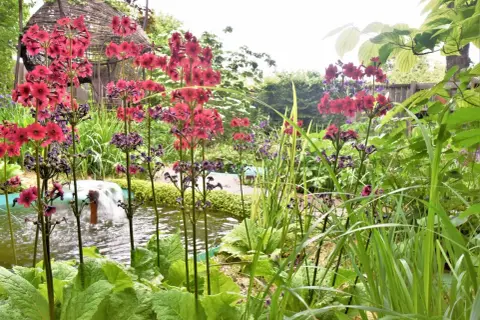Un jardin luxuriant avec des plantes vertes d'extérieur, des fleurs roses vives et des graminées près d'un petit bassin avec une fontaine.