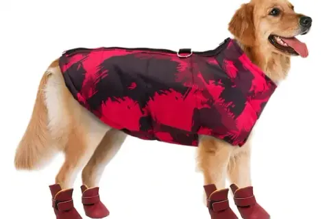 Uszyj buty dla psa krok po kroku: Poradnik DIY