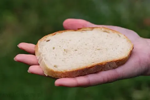 Kromka chleba: 60-120 kcal? Poznaj prawdę o kaloriach!