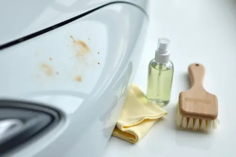 Ślady po ptasich odchodach na białym lakierze. Spray, ściereczka i szczotka pomogą Ci dowiedzieć się, jak usunąć wżery po ptasich odchodach.