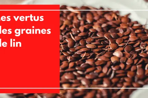 Gros plan sur des graines de lin brunes, petites et ovales, évoquant les bienfaits de ce superaliment.