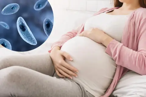 Ciężarna kobieta i pasożyty Toxoplasma gondii. Toksoplazmoza może stanowić zagrożenie dla płodu.