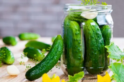 Frische Gurken, Dill und Knoblauch für das Gurken einlegen nach Omas Rezept.