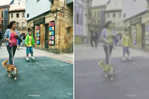Spacerem po mieście, gdzie pies widzi głównie odcienie żółci i niebieskiego. Dziewczyna z psem na smyczy, chłopiec na rolkach.