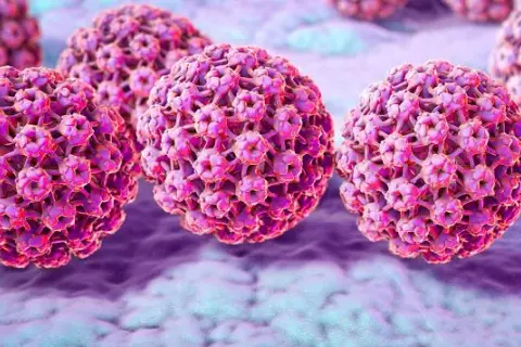 HPV u mężczyzn: Do jakiego lekarza się udać? Objawy i leczenie