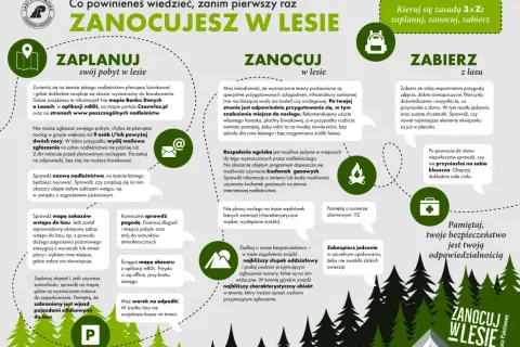 Ilustracja przedstawia drzewa, namiot i ikonki związane z biwakowaniem w lesie.