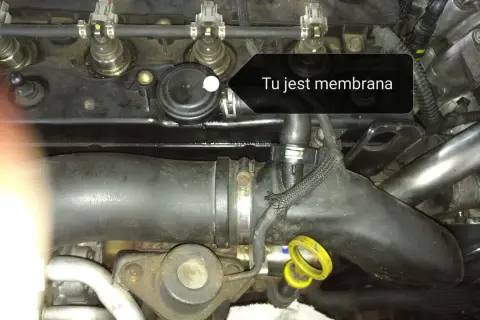 Membrana odmy w Oplu Astrze H, widoczna na zdjęciu silnika, jest kluczowym elementem układu odpowietrzania skrzyni korbowej.