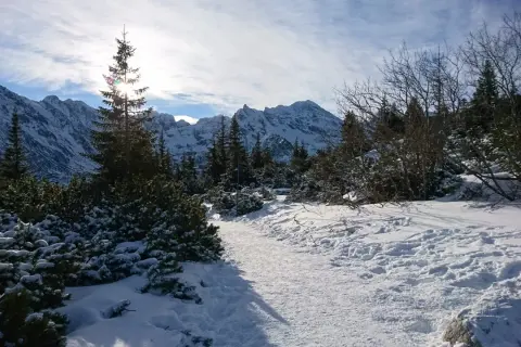 Schneebedeckte Berge im Winter, ein verschneiter Pfad führt durch Nadelbäume und Büsche. Die Sonne scheint durch die Wolken.