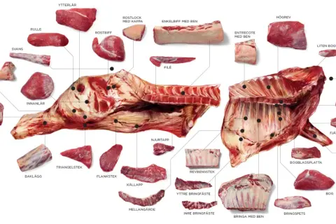 Detaljerad illustration av styckdetaljer från nötkreatur, inklusive flat iron steak (entrecote med ben).