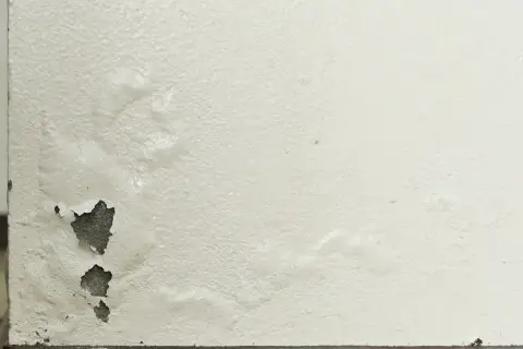 Rigonfiamento muro interno con intonaco scrostato e aree umide visibili.
