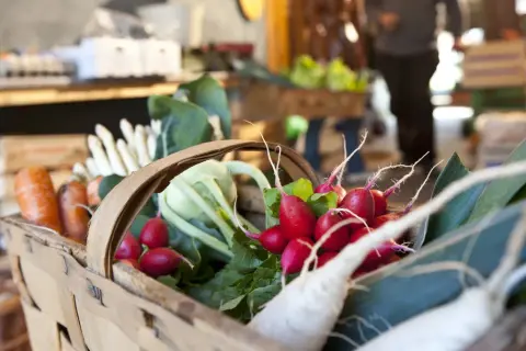 Korb mit frischem Gemüse, darunter Radieschen und Karotten, bereit für die Bamberger Feste.