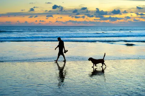 Un homme et son chien profitent d'une promenade sur la plage au coucher du soleil. Les vagues douces et le ciel coloré créent une atmosphère paisible.