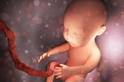 Jak wygląda pępowina? Zaskakujące fakty o jej budowie i funkcji